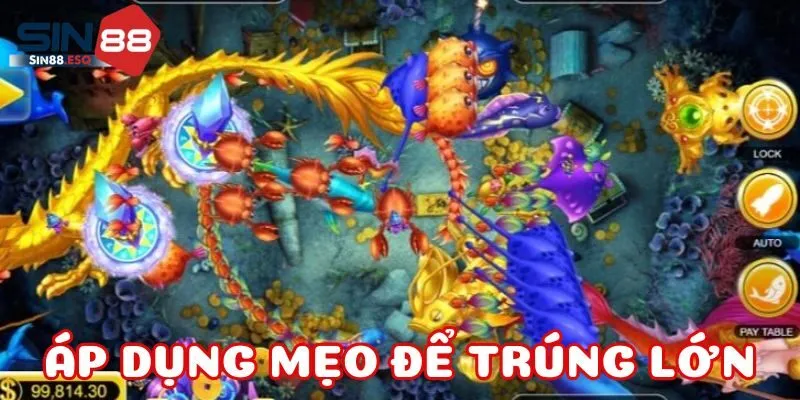 ap-dung-meo